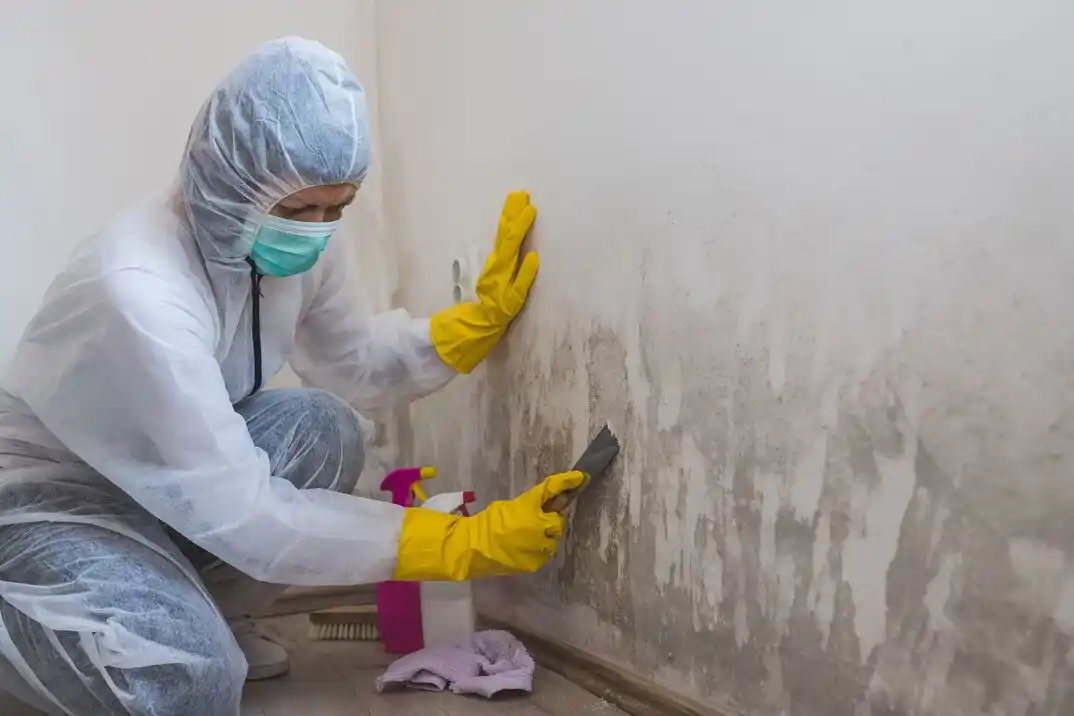water damage restoration service Lions Head